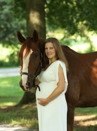 maternityhorse