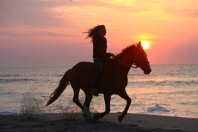 AssateagueMay2011 217