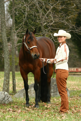 Bay Horses 033